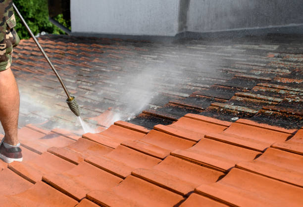 Best Roof Power Washing Services  in Prospect Rk, PA